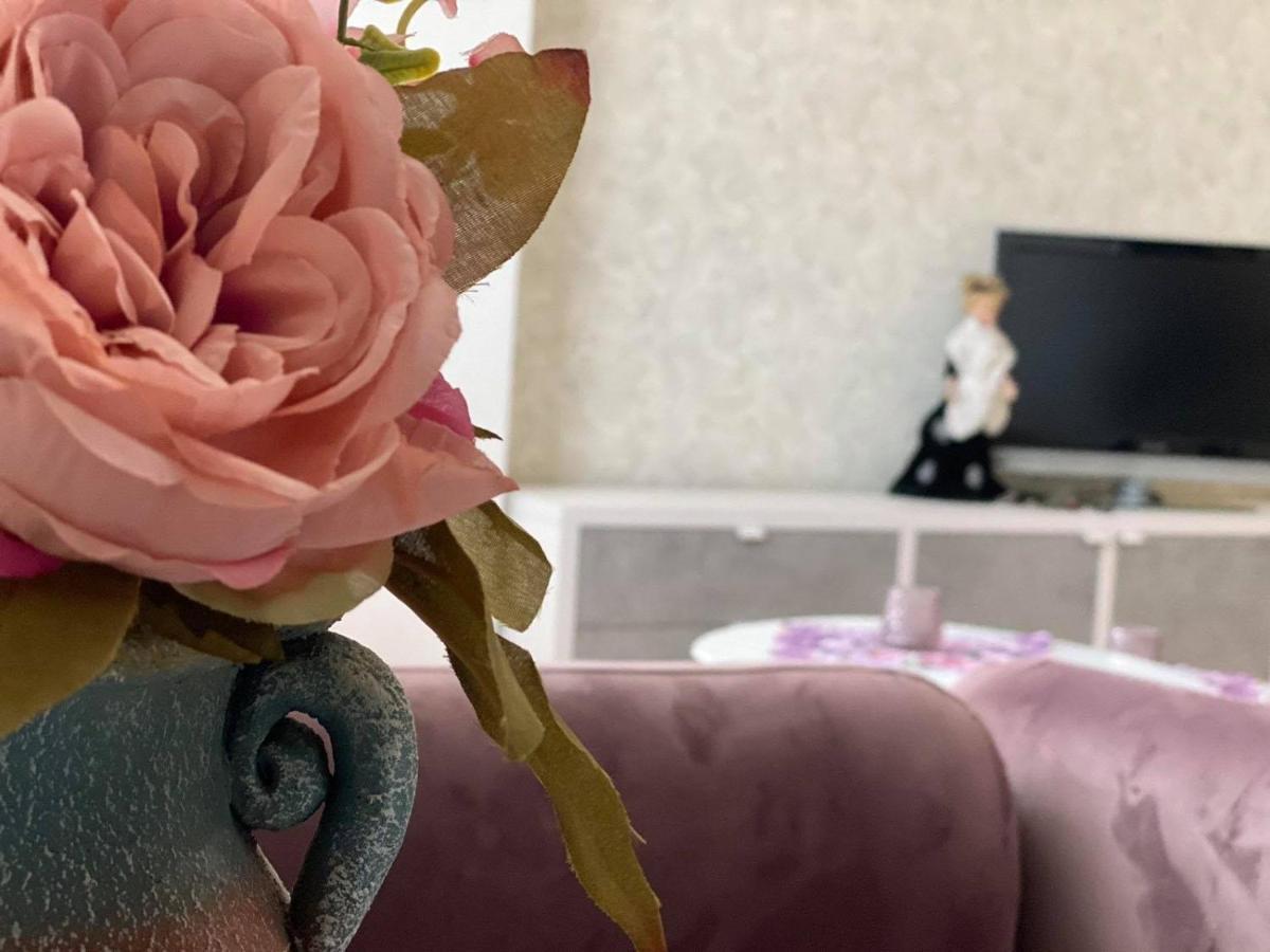 Velvet Apartment スコピエ エクステリア 写真